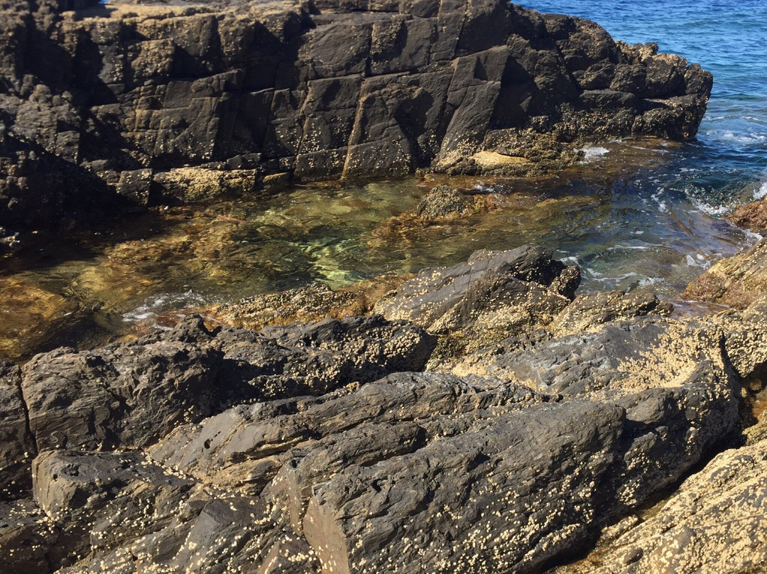 Cala Tamariua景点图片