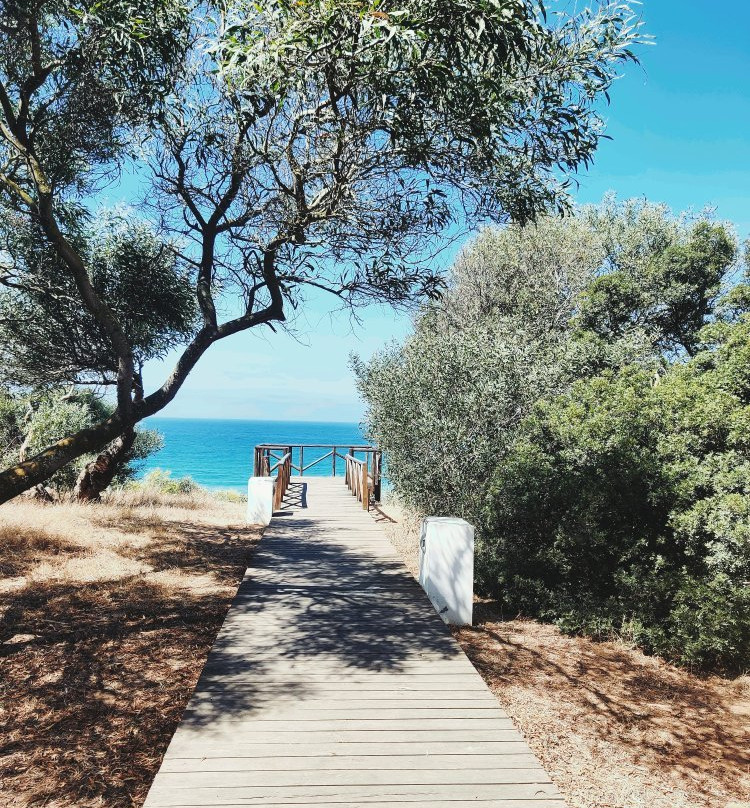 Playa de La Fontanilla景点图片