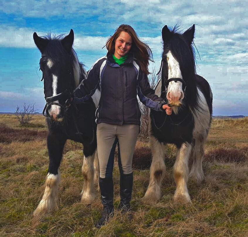 Rijstal Le Cheval-Ballum必去景点