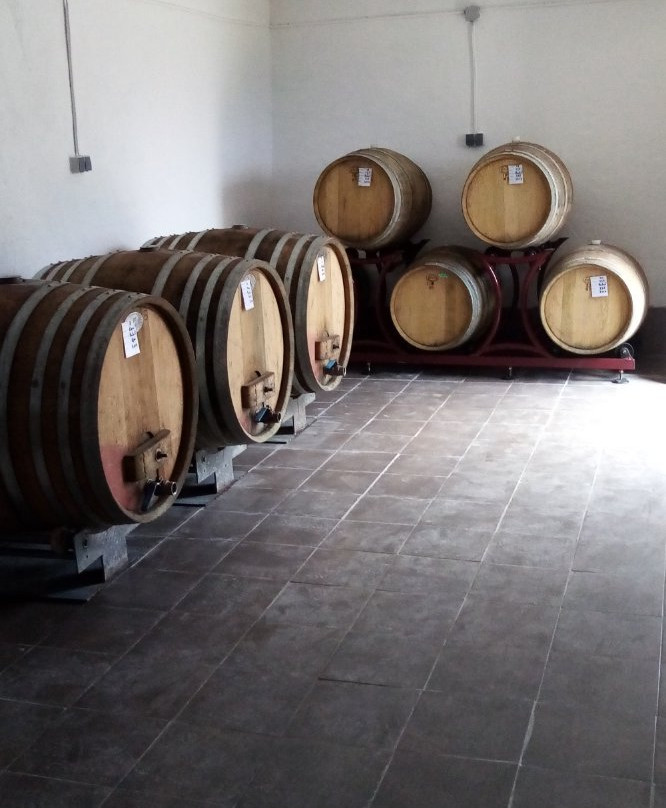 Matosin Winery-普莫斯特必去景点
