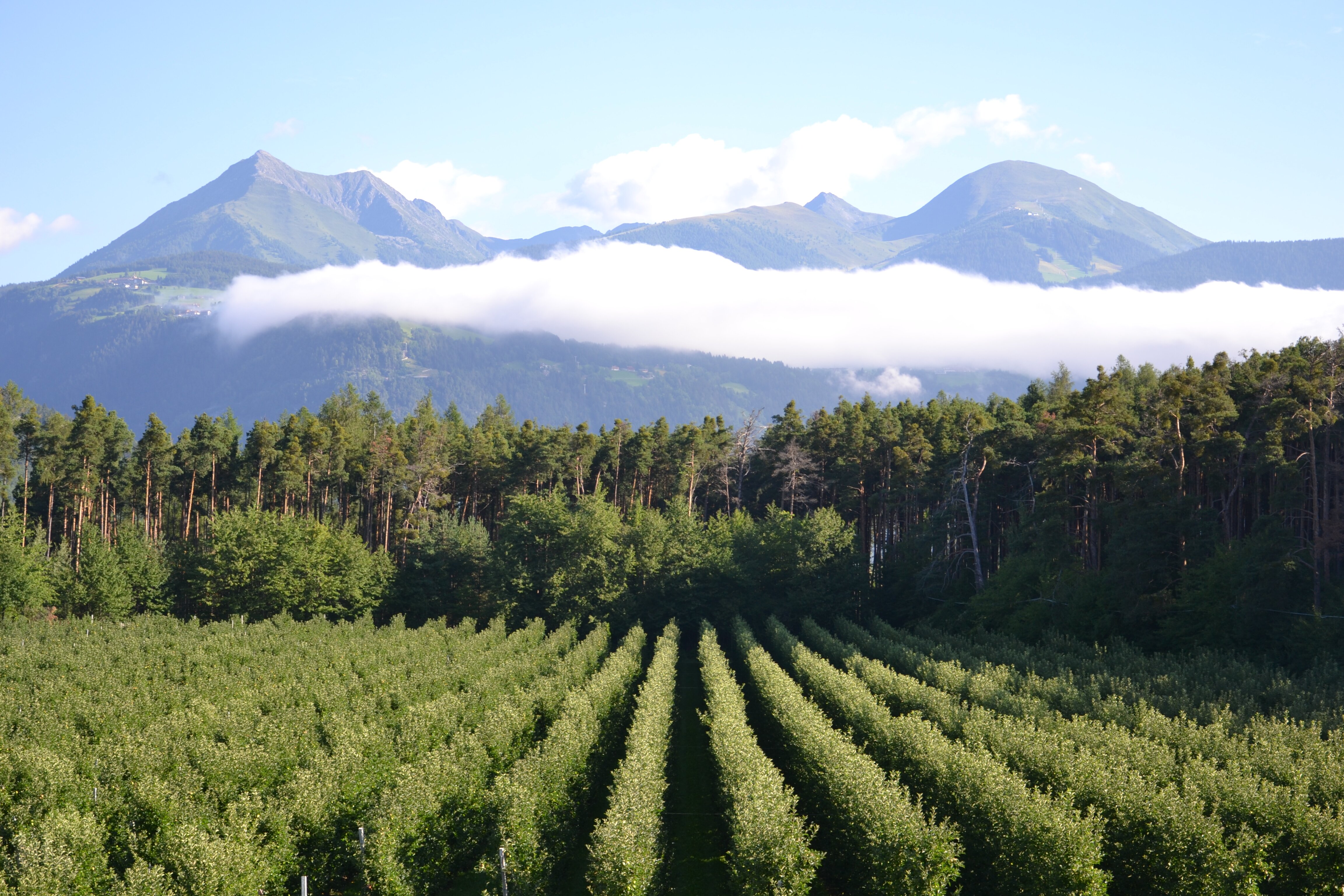 Hotel Flotscherhof-浴室