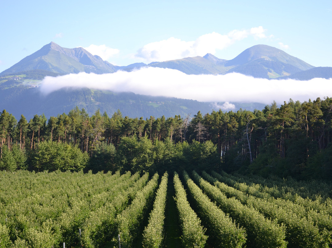 Hotel Flotscherhof主图