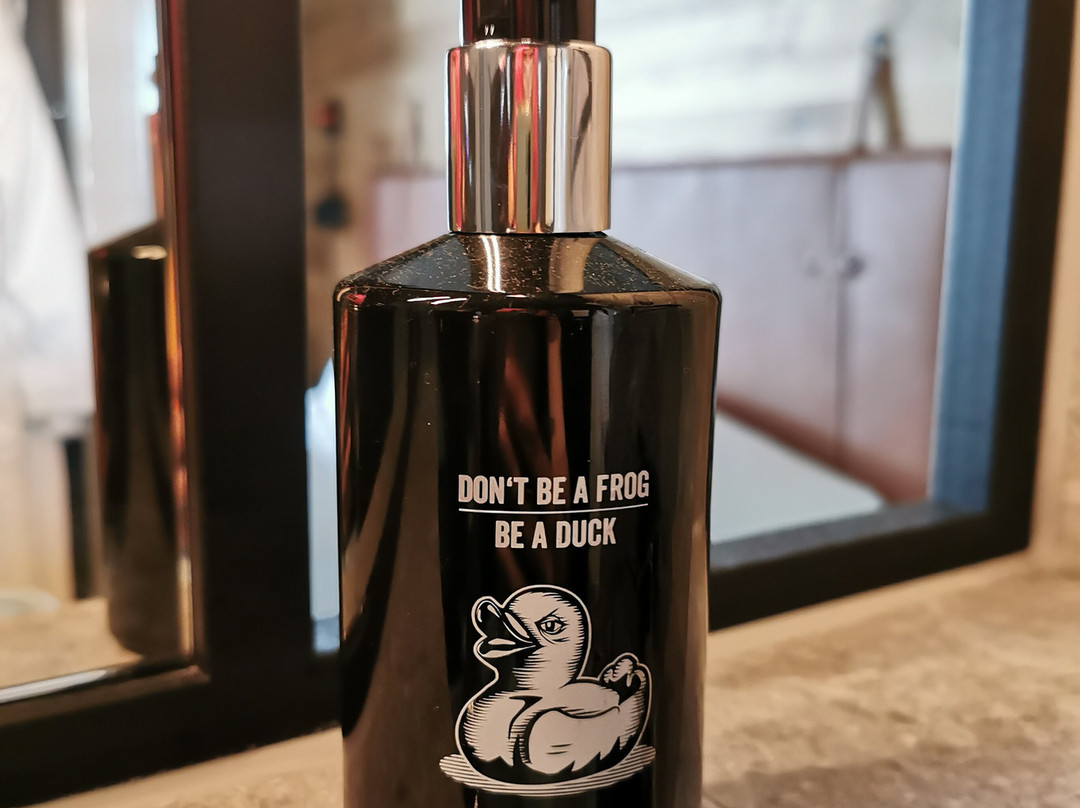 Me and All Hotel Kiel, by Hyatt主图