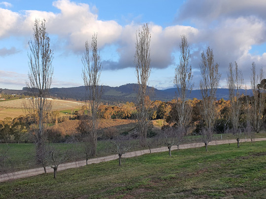 Borrodell Vineyard主图