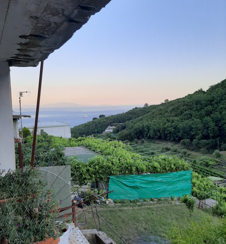 Il Covo delle Civette主图