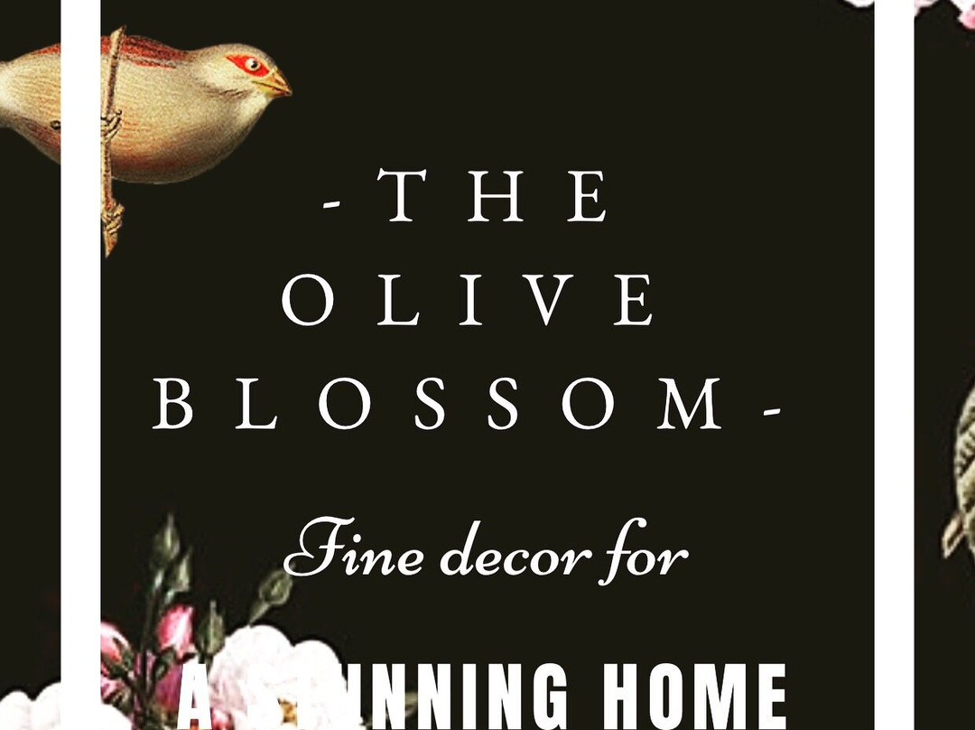 The Olive Blossom景点图片