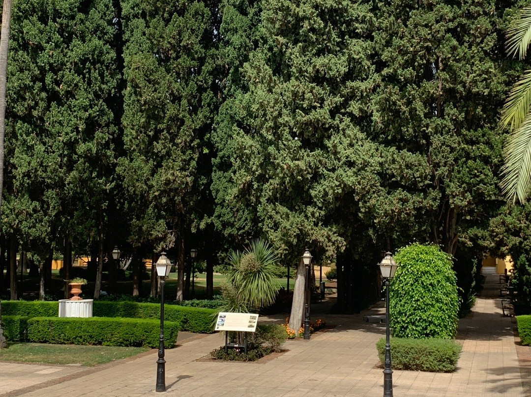 Parque de la Constitución景点图片