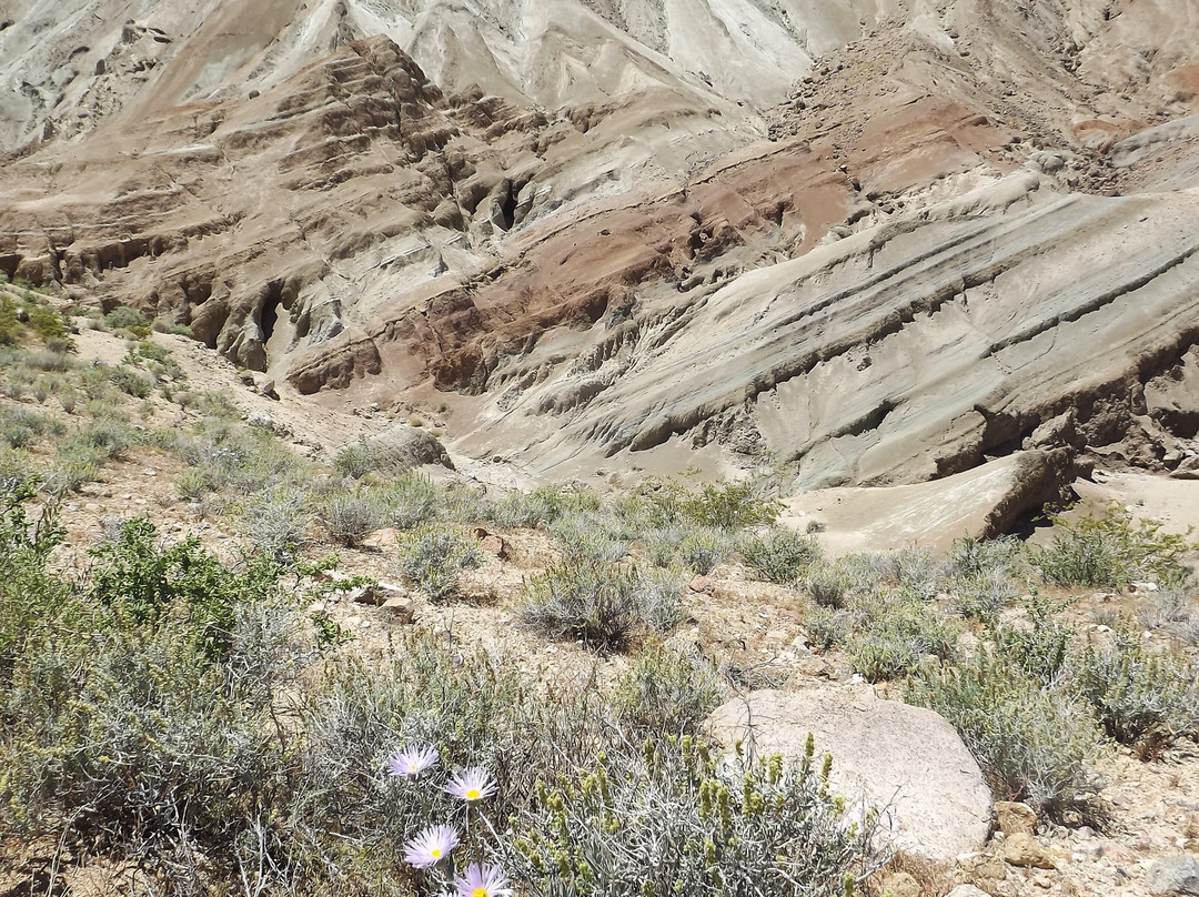 Rainbow Basin Natural Area景点图片