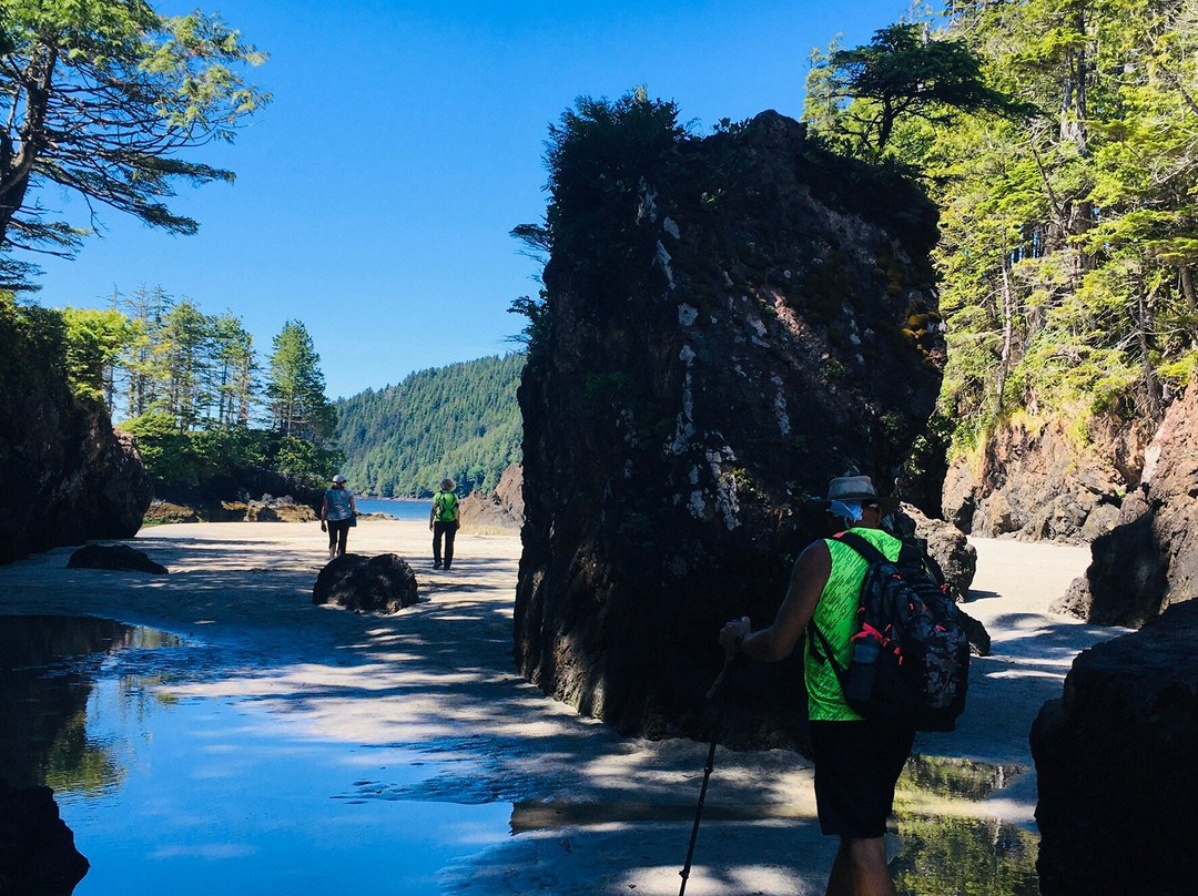 Cape Scott Provincial Park景点图片