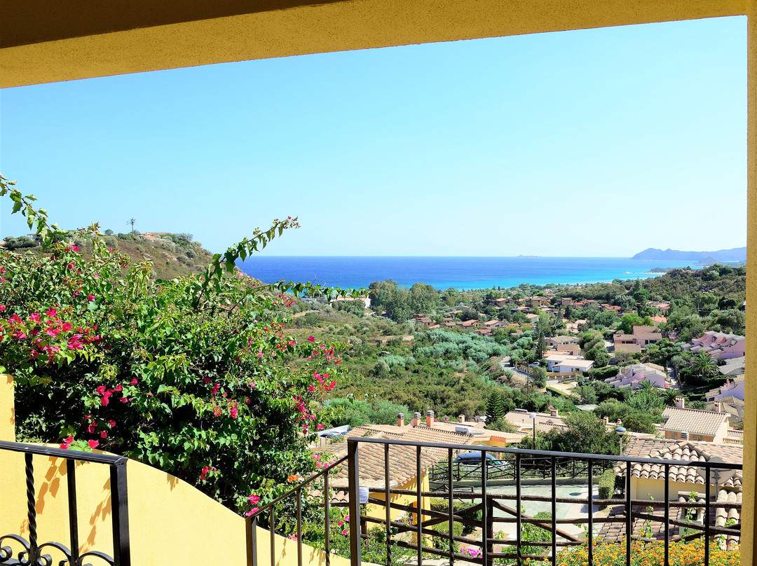 Nuova Valmar Ginepri "Stella"
