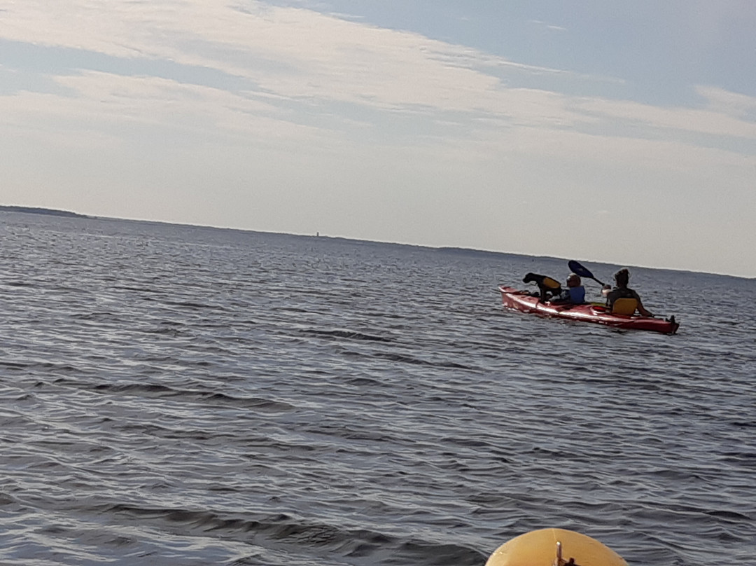 Malpeque Bay Kayak Tours景点图片