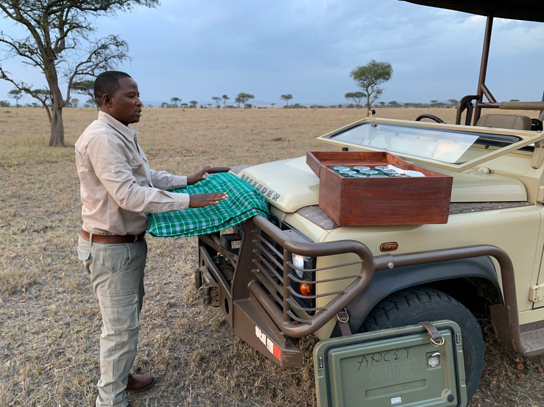 Anicet Philip Safaris Co.-Dar es Salaam必去景点