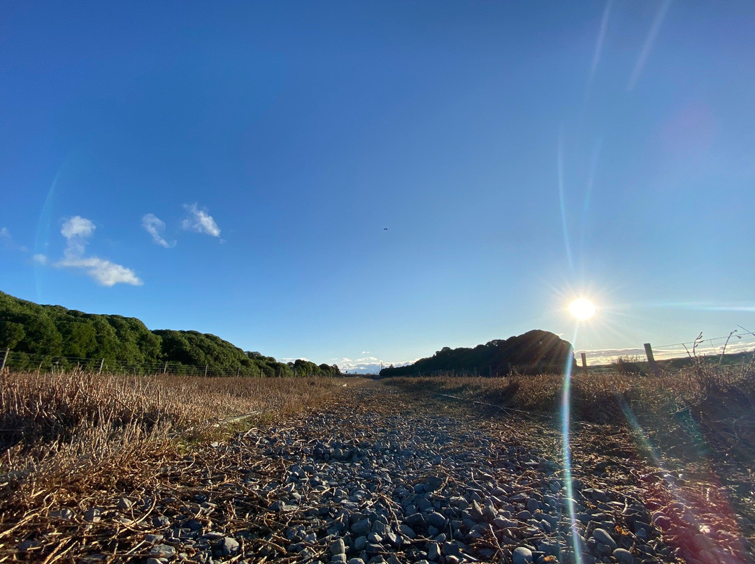 Wairau Lagoons Walkway景点图片