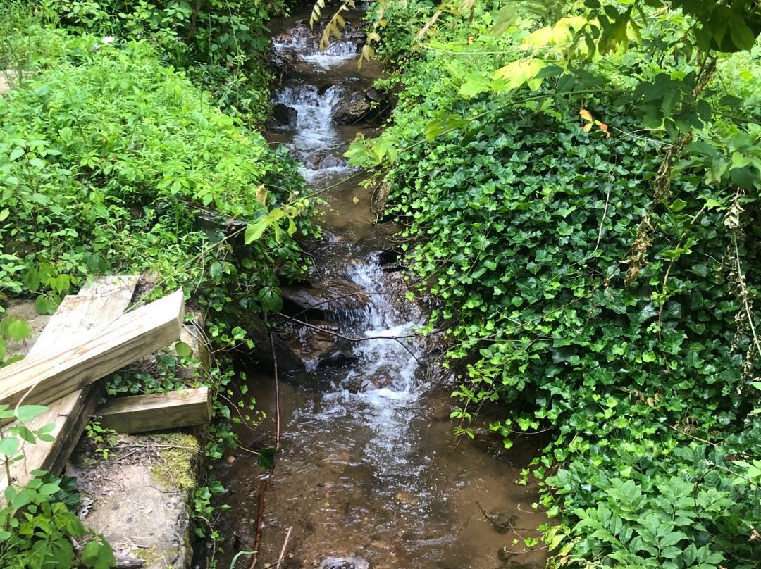 Red Leaf River Inn主图