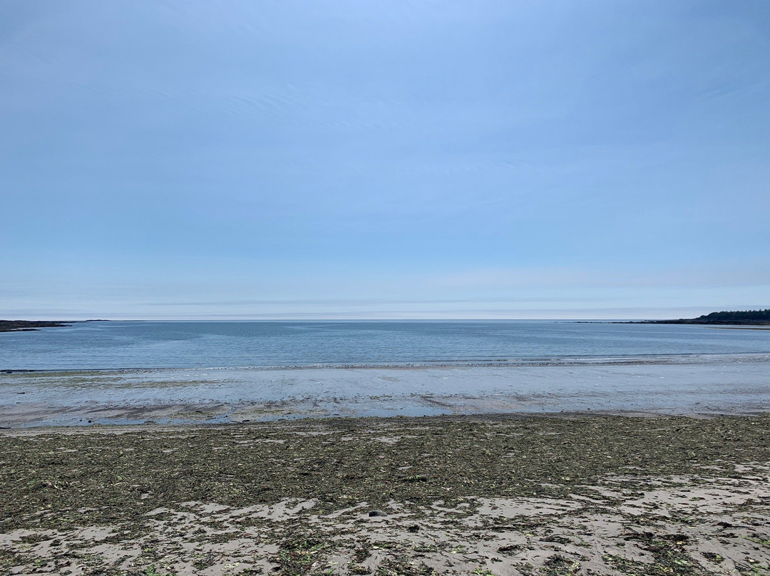 Pond Cove Beach and Nature Preserve景点图片