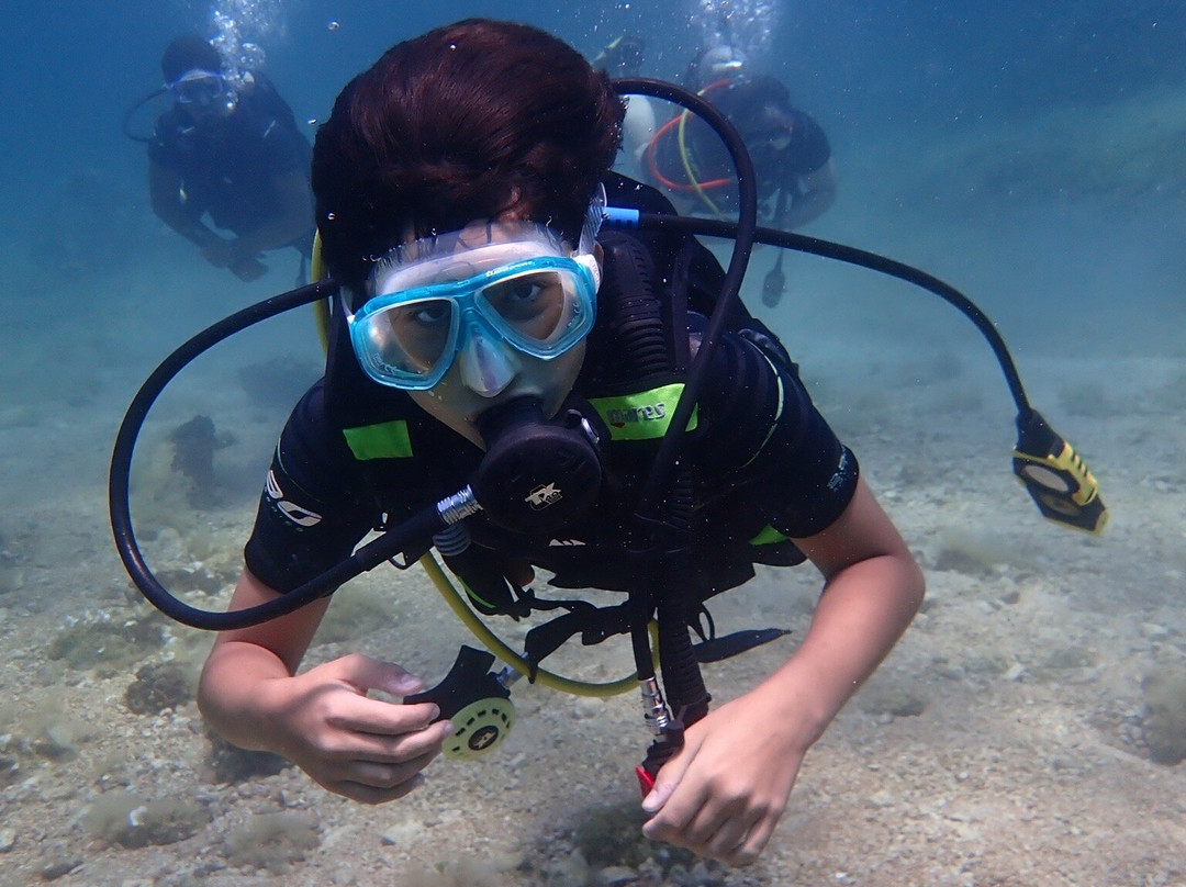 Marathon Divers Club景点图片