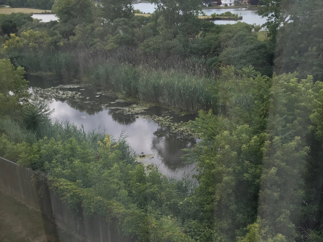 Best Western Port Huron Blue Water Bridge主图