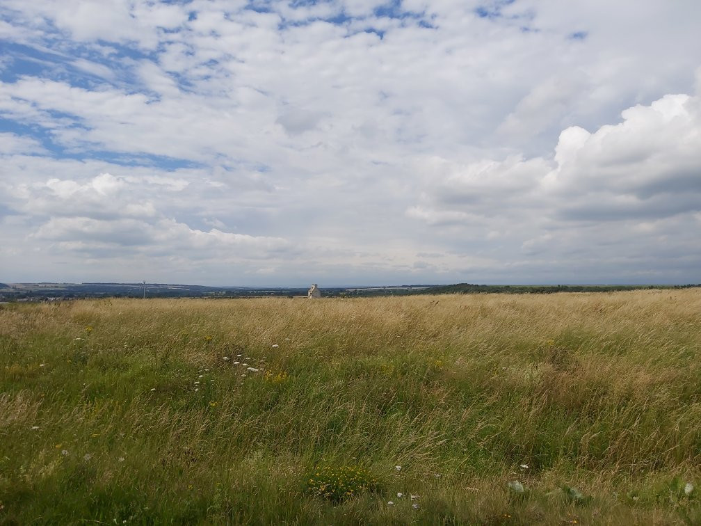 Rabbit Ings Country Park-Royston必去景点