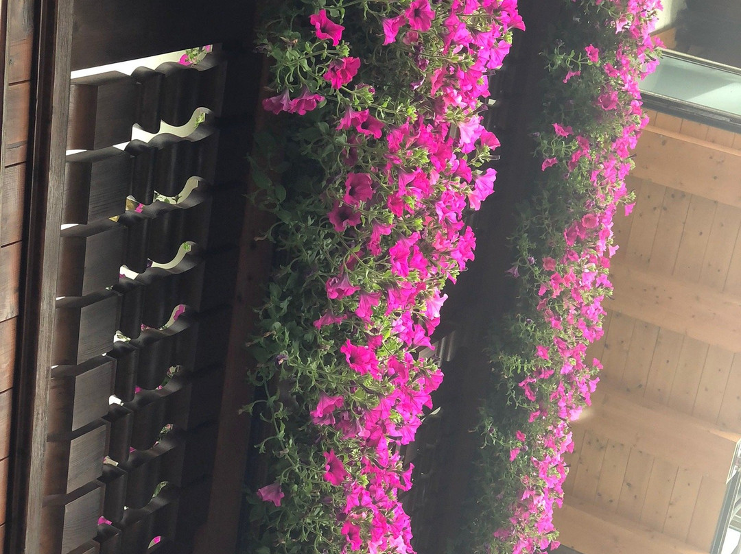 伊灵格霍夫膳食公寓主图