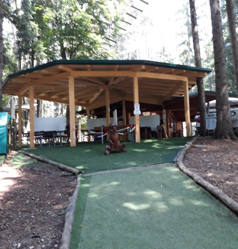 Parco Avventura Pineta景点图片