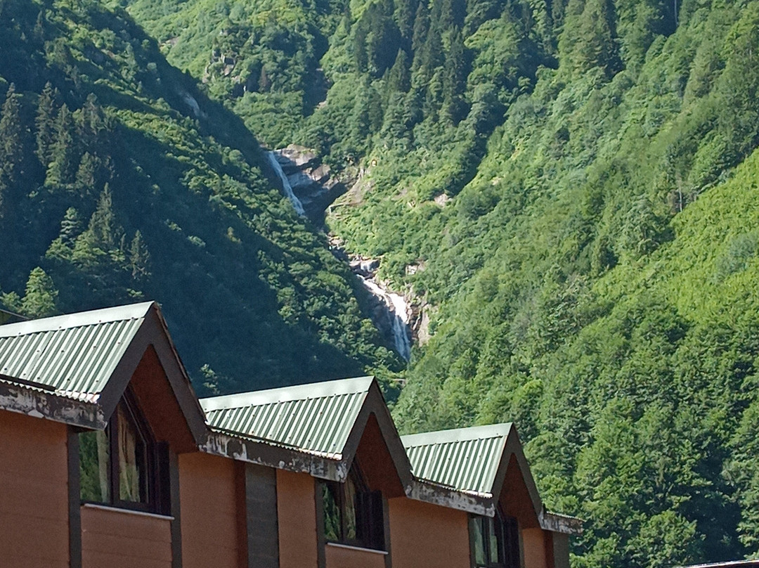 Natura Lodge主图