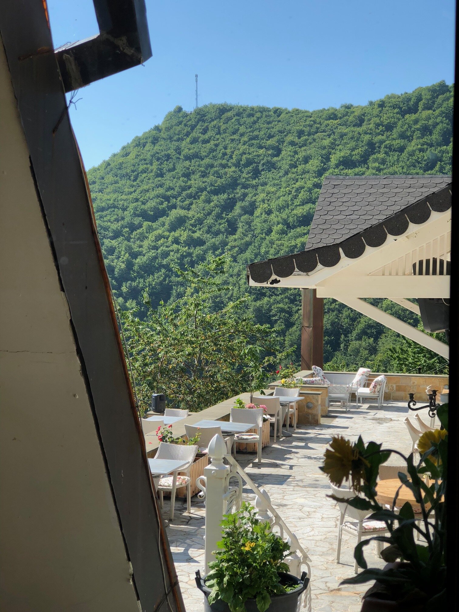 Hotel Dardha-portrait
