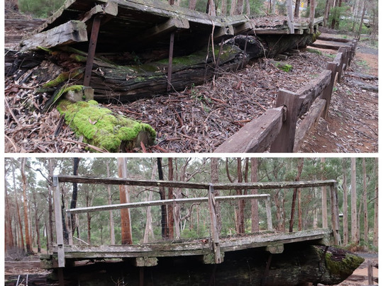 One Tree Bridge-Manjimup必去景点