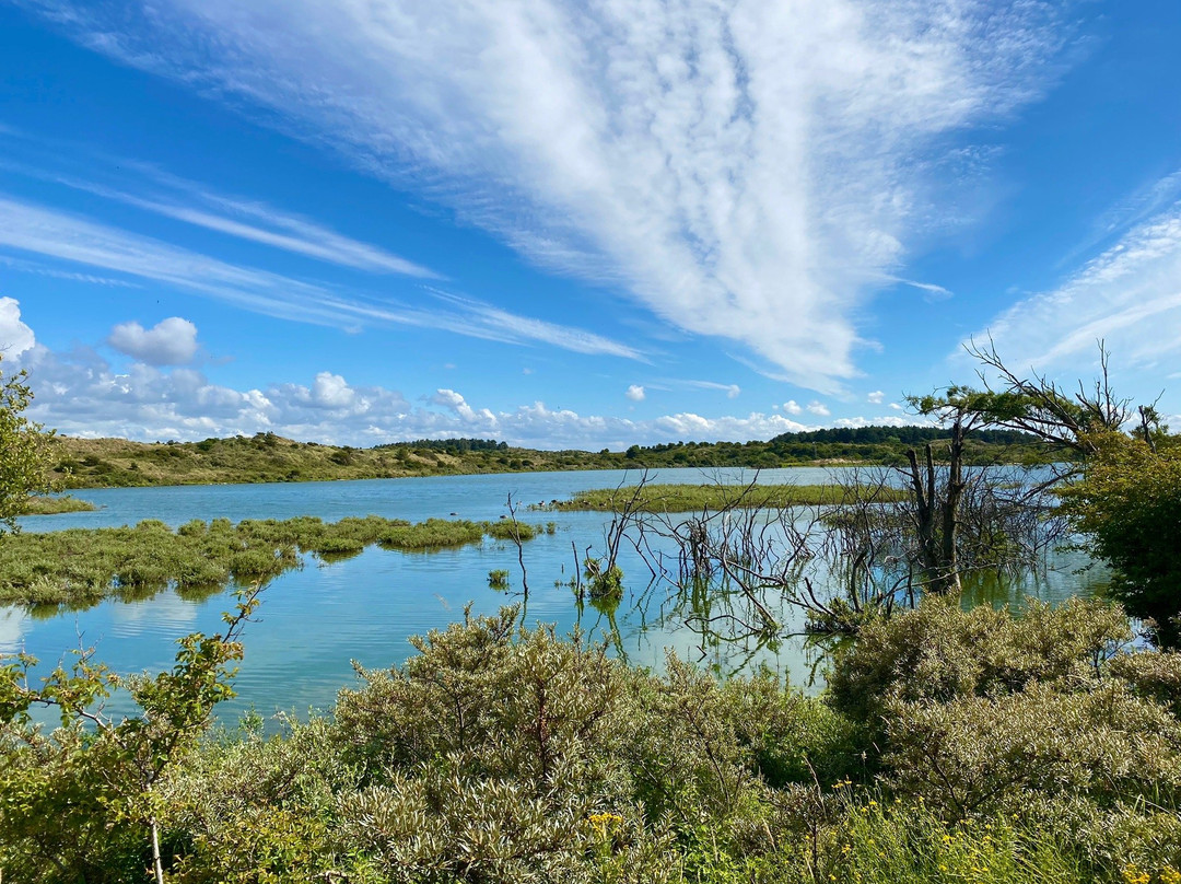 Nationaal Park Zuid Kennemerland-Overveen必去景点