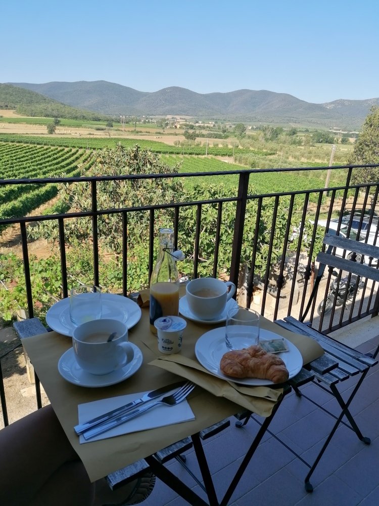 Poggiolivi Agriturismo Bio In Maremma-酒店景观