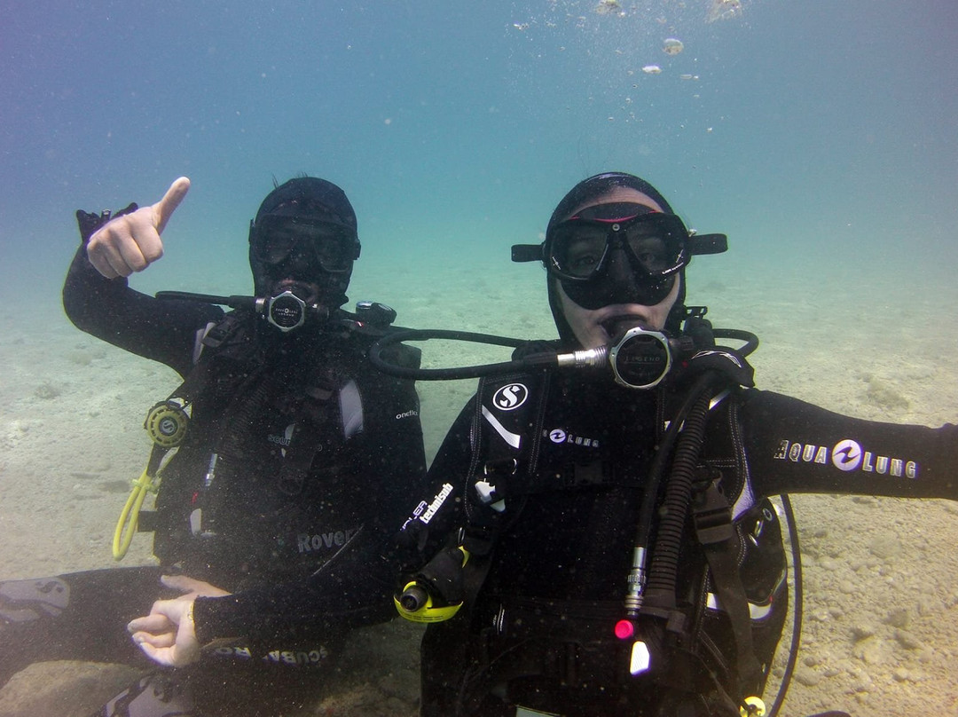Poseidon Diving Center景点图片
