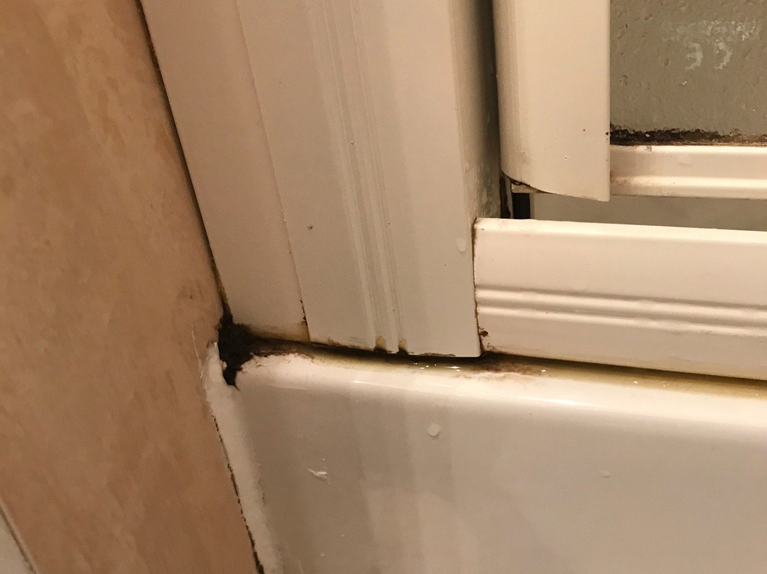 Hôtel Cousseau Parentis En Born主图