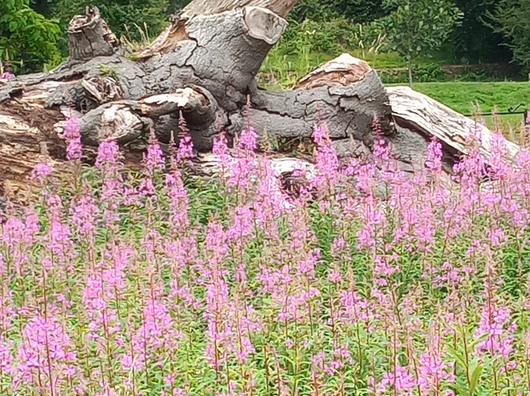 Bramcote Hills Park-Bramcote必去景点