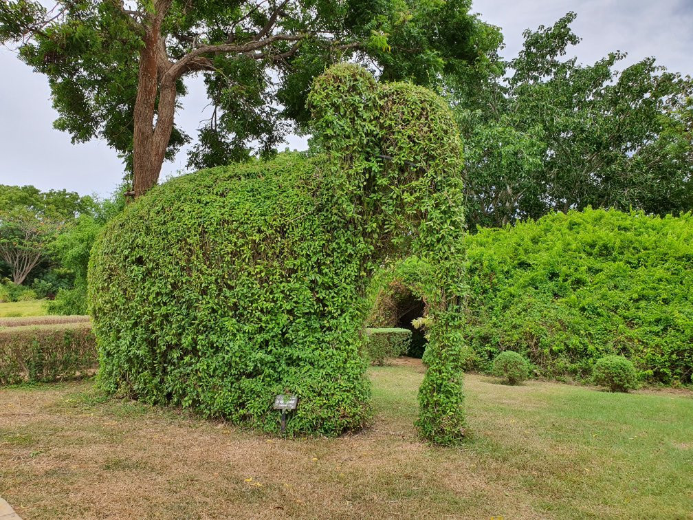 Dry Zone Botanic Gardens - Hambantota景点图片