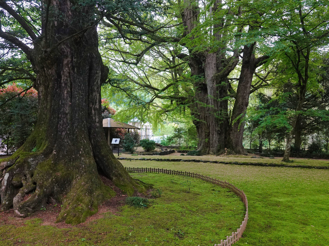 Horyu-ji Temple-大子町必去景点