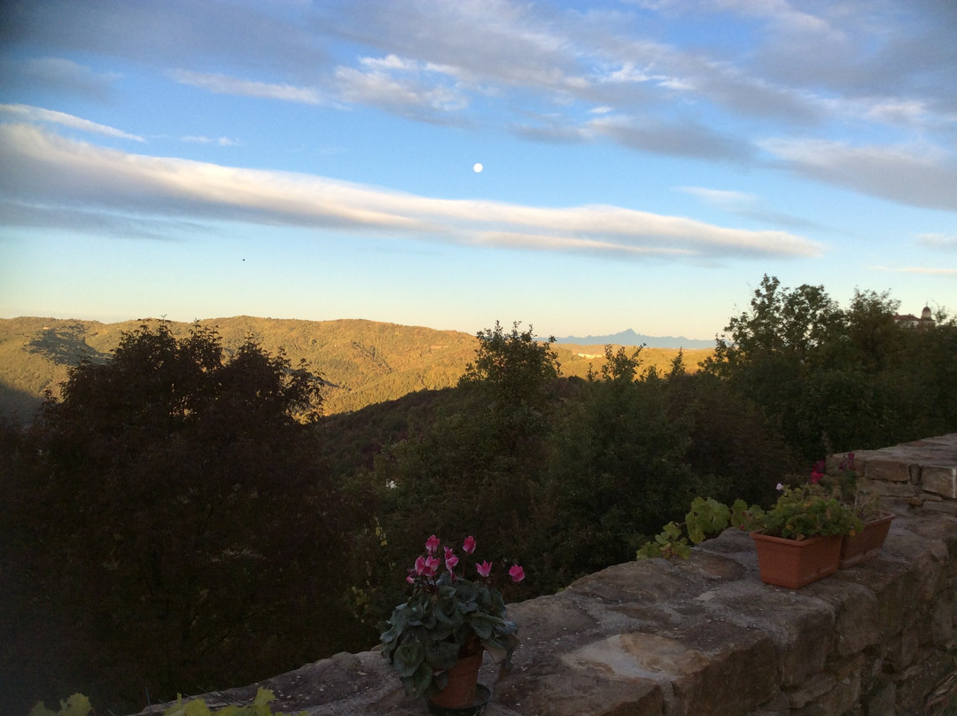 B&B Poggio delle Ginestre主图