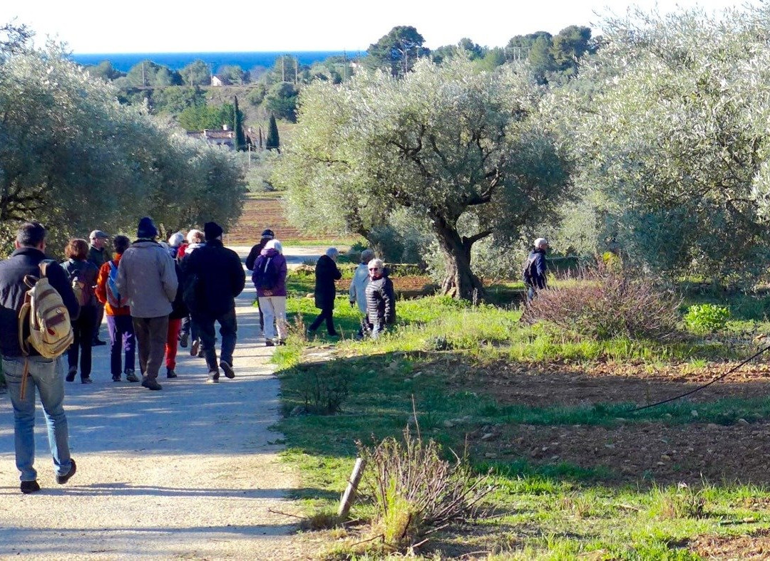 Atelier Bleu CPIE-拉西奥塔必去景点