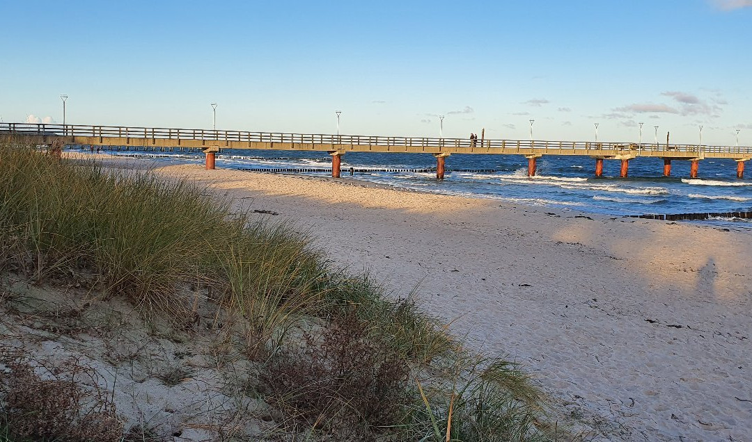 Seebrucke Zingst景点图片