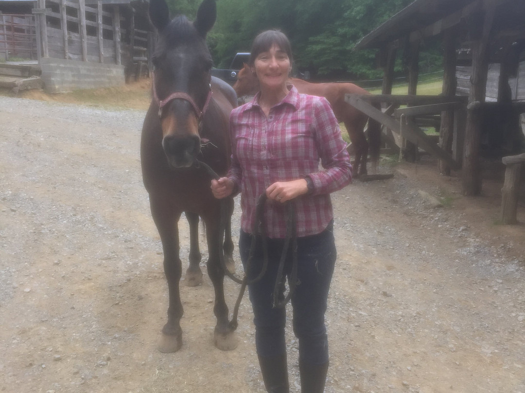 Twin Valley Bed and Breakfast and Horse Ranch主图