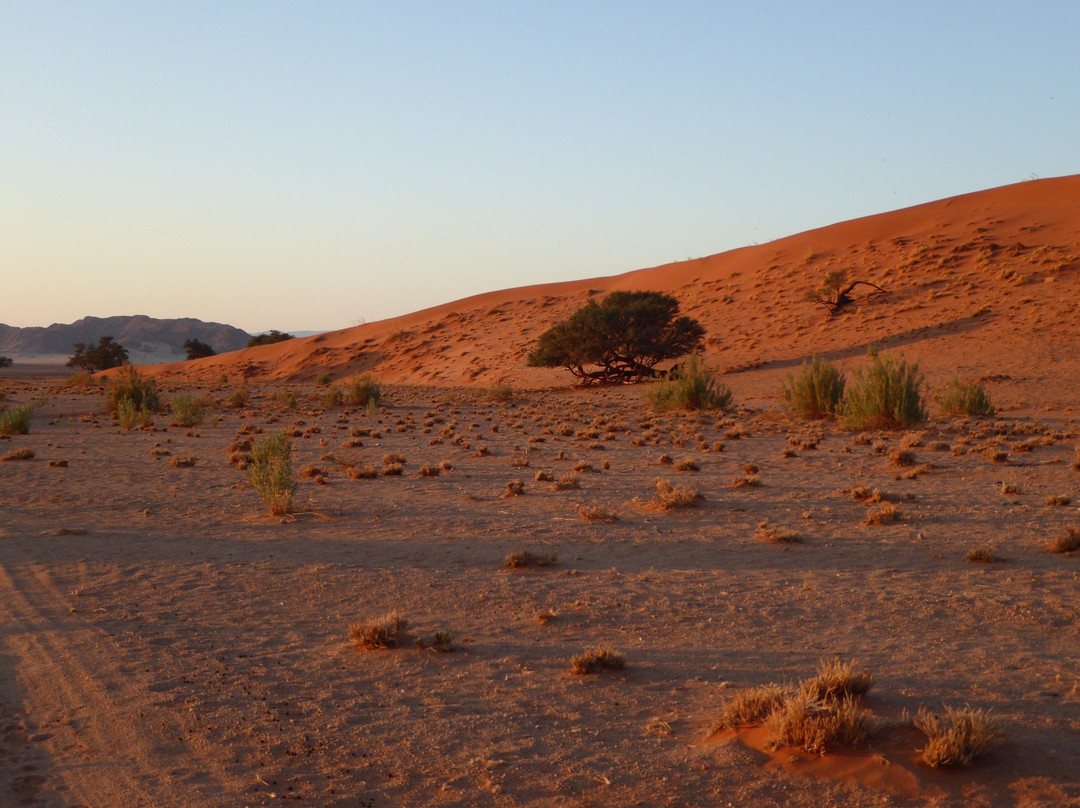Elim Dunes-Namib-Naukluft Park必去景点