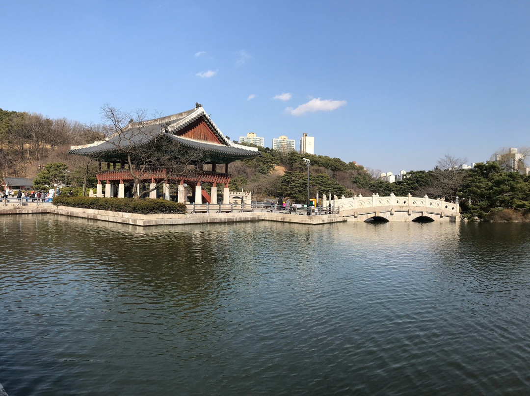 Seongnam Jungang Park-城南市必去景点