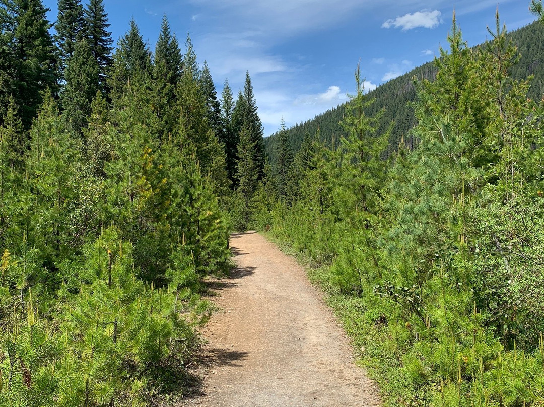 Lemolo Lake / Crater Lake North KOA主图