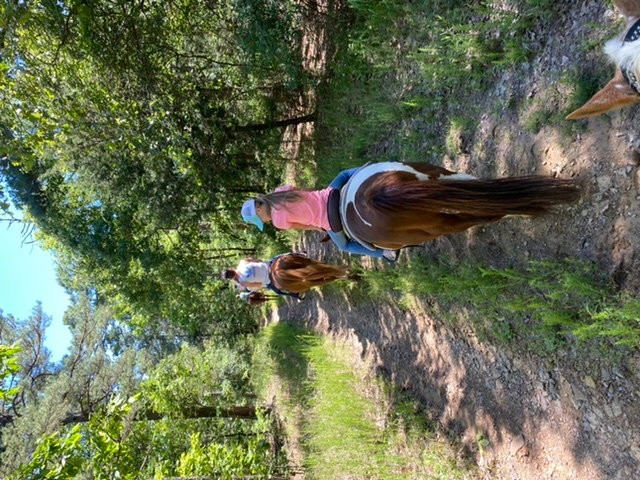 Robbers Cave Stables-Wilburton必去景点