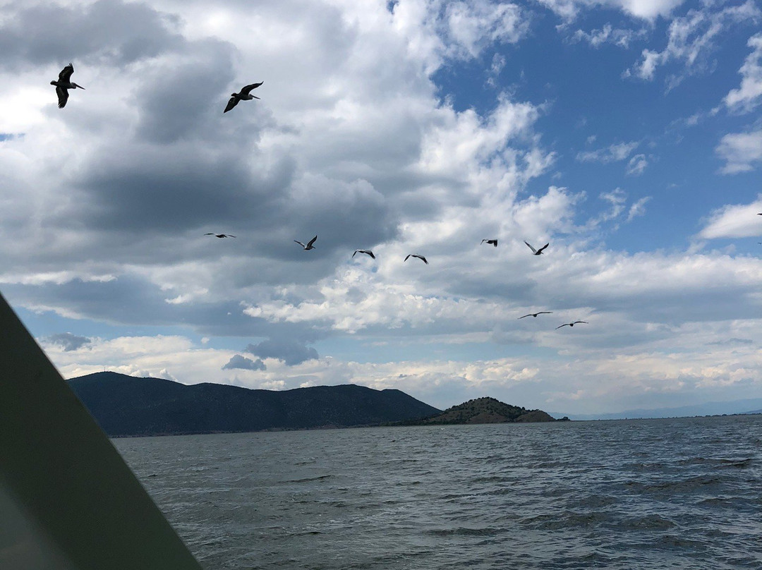 Φύση και Πολιτισμός  /  Wildlife and Culture景点图片