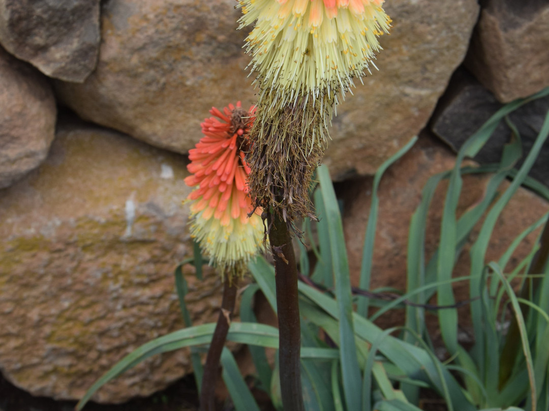 Sani Mountain Escape主图