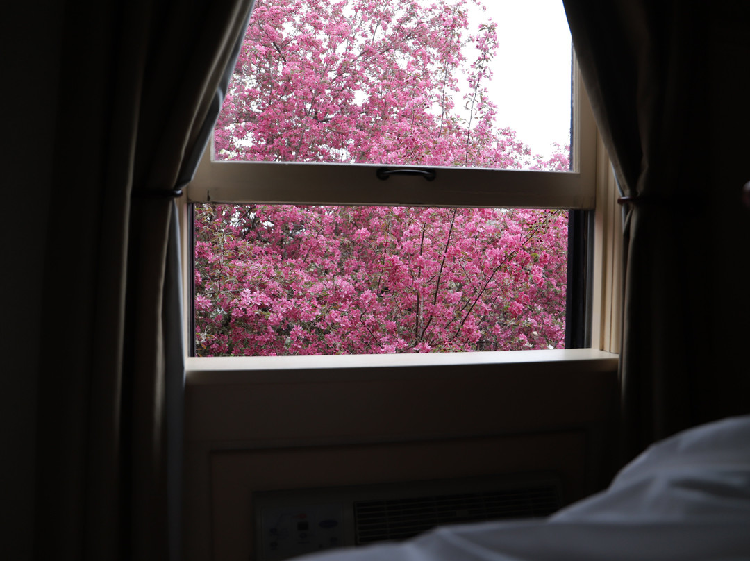 Chamberlin Inn主图