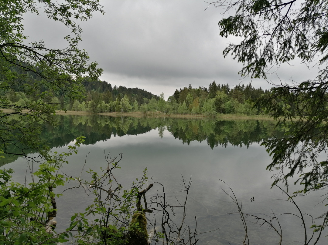 Schwansee-施万高必去景点