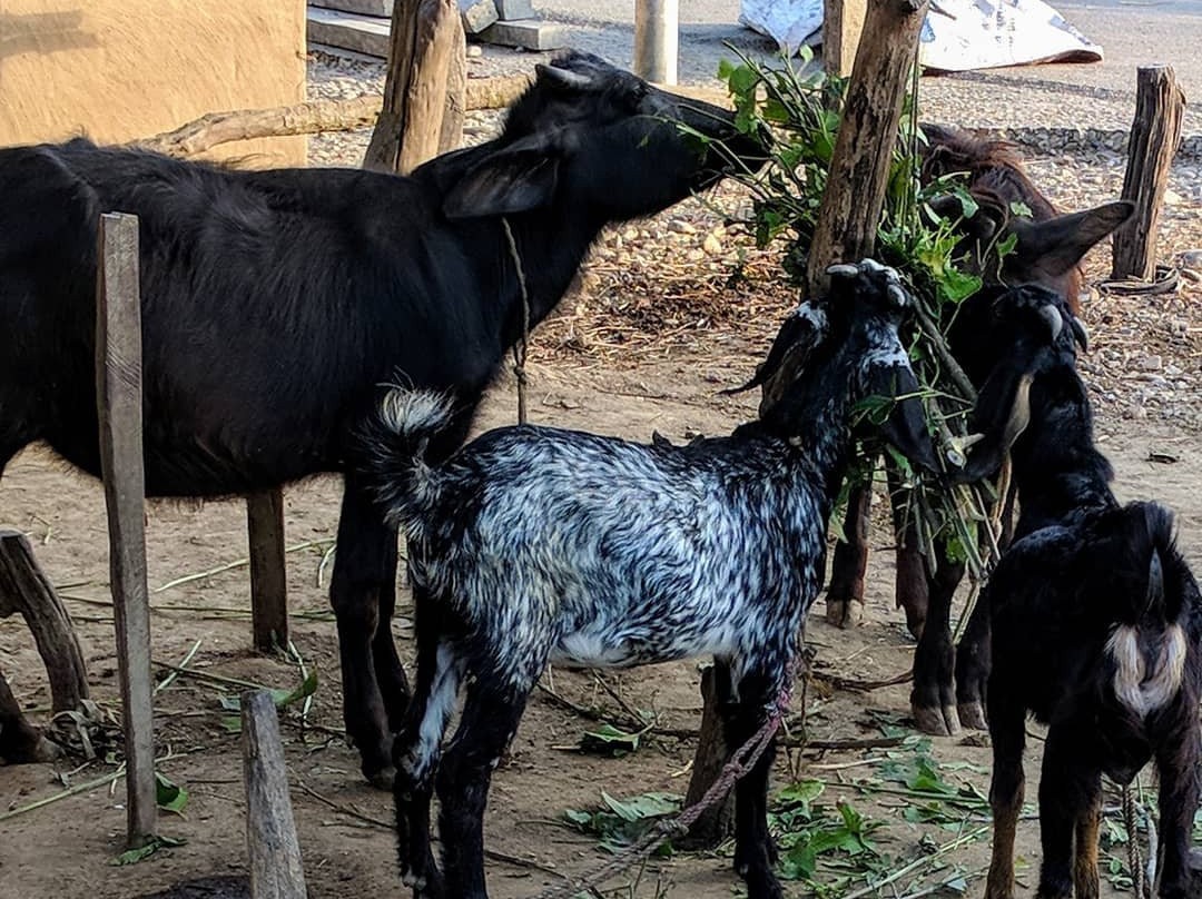 Center Park Resort主图