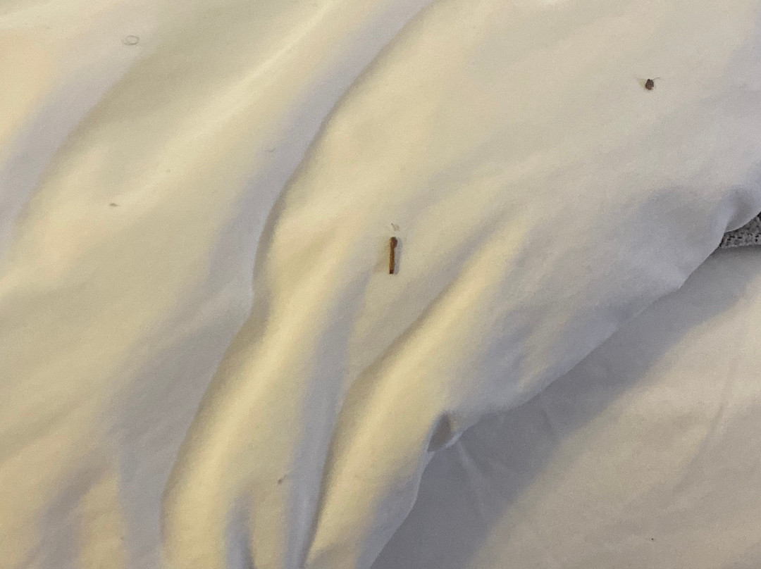 Country Inn & Suites by Radisson, McDonough, GA主图