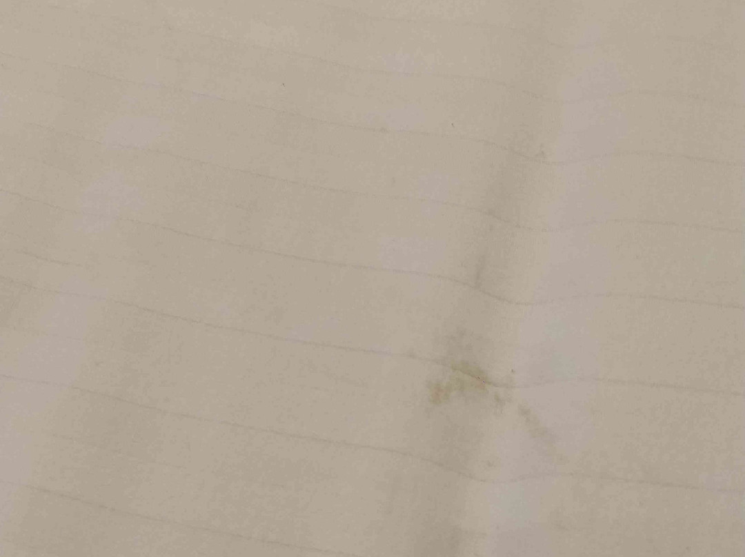 Hotel Queen's INN主图