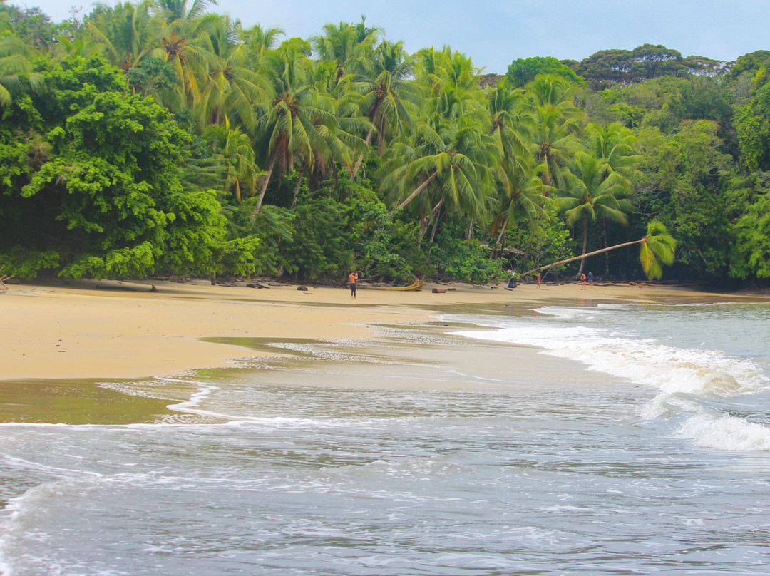 Hotel y Cabanas Costa Real主图